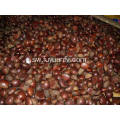 Fresh Dandong bora Chestnut